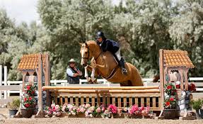 Image result for South Weylands Equestrian