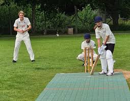 Image result for Capel Cricket Club