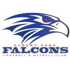 Image result for Falcons Netball Club