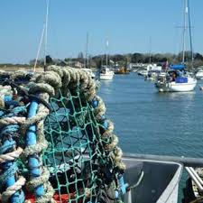 Image result for Brading Haven Yacht Club