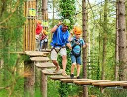 Image result for The Go Ape Experience (Delamere Forest)