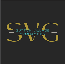 Image result for City Of Hull Olympic Gymnastics Club