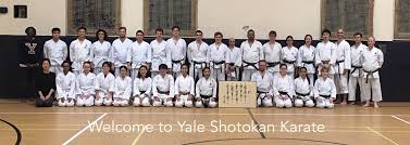 Image result for Shotokan Karate