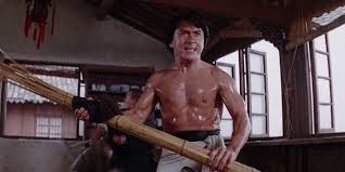 Image result for DRUNKEN MASTER