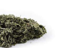 Attēlu rezultāti vaicājumam “Arctium lappa leaf”