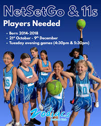 Image result for Zodiac Netball Club