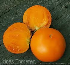 Afbeeldingsresultaat voor caro rich tomato