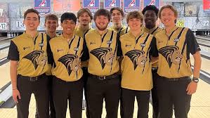 Image result for Ewell Ladies Bowling Club