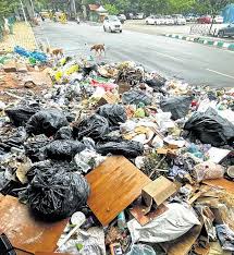 Image result for Bangalore Garbage