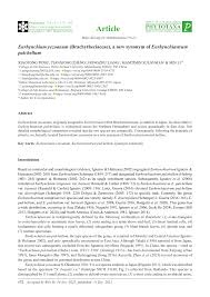 Attēlu rezultāti vaicājumam “Eurhynchiastrum pulchellum”