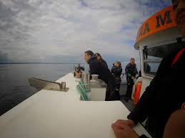 Image result for Meadurst Sub-Aqua Club