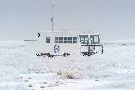 Image result for tundra buggy