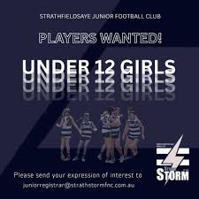 Image result for Woodley Saints Ladies FC