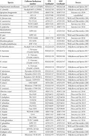Attēlu rezultāti vaicājumam “Elmerina caryae”