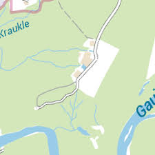 Attēlu rezultāti vaicājumam “Heterotrichia oerstedii (syn. Arcyria oerstedii)”