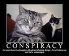 Pakistanis See a Vast US Conspiracy Against Them