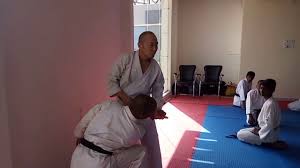 Image result for Nottingham Sankukai Karate