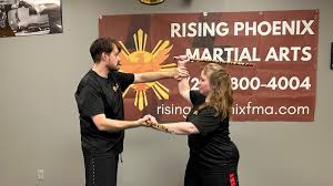 Image result for Phoenix Martial Arts