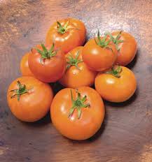 Afbeeldingsresultaat voor caro rich tomato