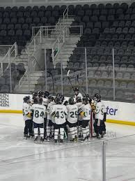 Image result for Leigh Hockey Club