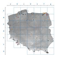 Attēlu rezultāti vaicājumam “Parmelia submontana”