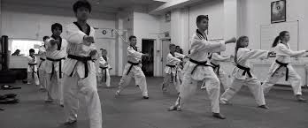 Image result for Martial Art Centre of Excellence