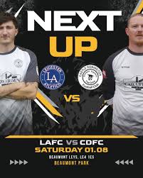 Image result for Castle Donington Juniors F C