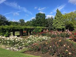 Image result for Bury Lodge Bowls Club