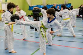 Image result for Bytomic Taekwondo