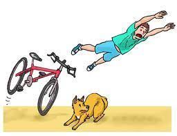 Resultado de imagen para imagenes de accion reaccion