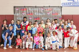 Image result for North Wilts Taekwondo