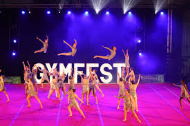 Image result for North Devon Display Gymnastics Club