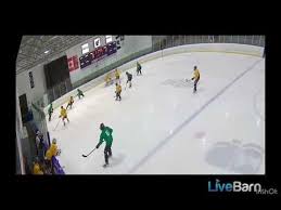 Image result for Norton Cyclones Skater Hockey Club
