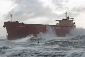 Image result for Pasha bulker