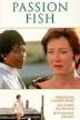 Download Passion Fish Movies For FREE in HD or Watch Movies Online
