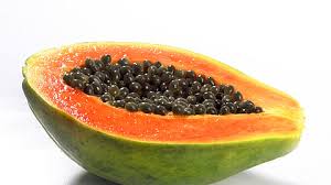 Image result for Carica papaya
