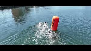 Image result for SwimSwansea