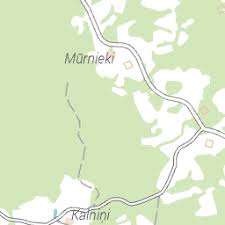 Attēlu rezultāti vaicājumam “Stemonitopsis hyperopta var. landewaldii”