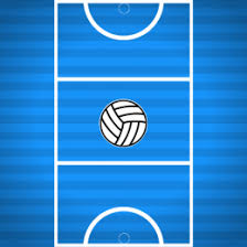 Image result for Bridgewater Netball Club