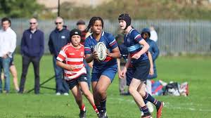 Image result for Dolgellau Old Grammarians Rugby Football Club