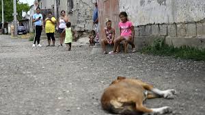 Image result for romska osada