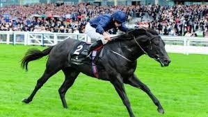 Image result for Elite Racing Club