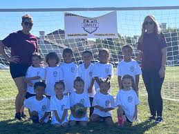 Image result for Ockley Acorns Junior F C