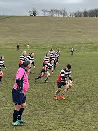 Image result for Royston Rufc