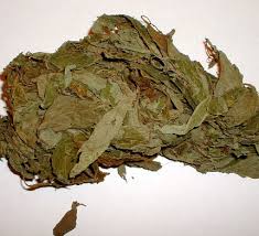 SALV SECCA