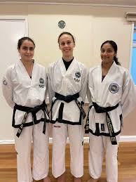 Image result for ENGLISH INTERNATIONAL ALLSTYLES TAEKWONDO