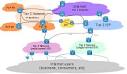 Internet service provider - Wikipedia, the free encyclopedia