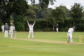 Image result for Appleton Cricket Club