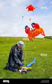 Image result for Kite Club of Scotland