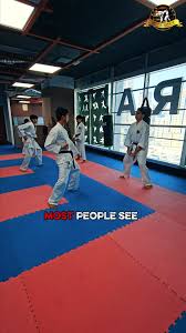 Image result for United Sport Karate